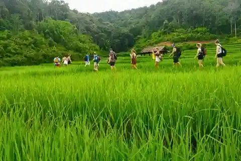 Chiang Mai : Randonnée dans la jungle, soins aux éléphants et rafting en bambou
