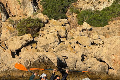 Golfo Aranci: transparent or traditional kayak, dolphins, and aperitif Sunset Tour in a Traditional Kayak with Aperitivo and Dolphins