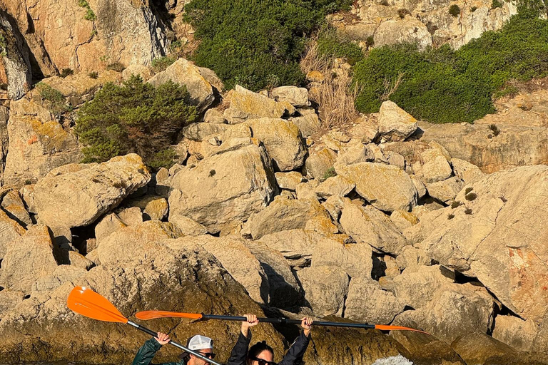 Golfo Aranci: transparent or traditional kayak, dolphins, and aperitif Sunset Tour in a Traditional Kayak with Aperitivo and Dolphins