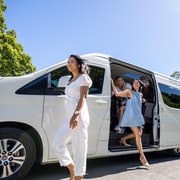 Brisbane: Hop-on Hop-off Wine Tasting Tour of Mt Tamborine