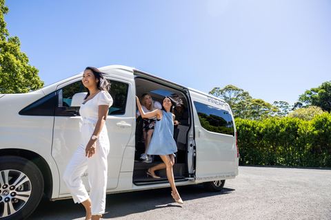 Gold Coast: Degustacja wina + autobus hop-on hop-off na górę TamborineDegustacja wina Tamborine Mountain i wycieczka hop-on hop-off GC