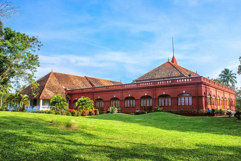 Kerala: Kochi, Munnar, Alleppey & Trivandrum Multi-Day Tour From Kochi: 7 Days Private Tour (All Inclusive)