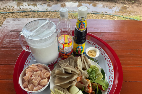 Chiang Mai: Elephant Sanctuary & Thai Cooking Workshop Meeting Point In Town