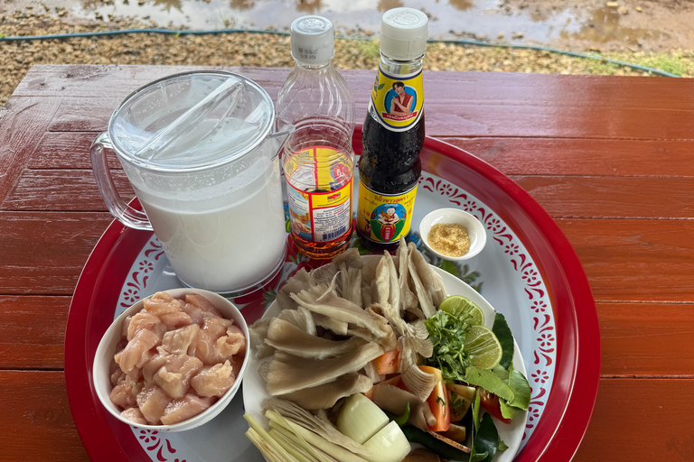 Chiang Mai: Elephant Sanctuary & Thai Cooking Workshop Meeting Point In Town