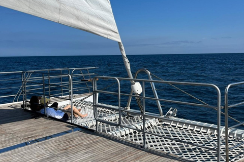 Jeju: Yacht Tour with Optional Sunset or Haenyeo Experience Sunset Tour