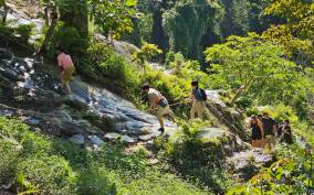 Chiang Mai: Sticky Waterfall Half-Day Tour & Hotel Transfers