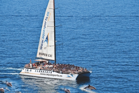 Puerto Rico: 4 uur durende premium catamarantour met dolfijnen