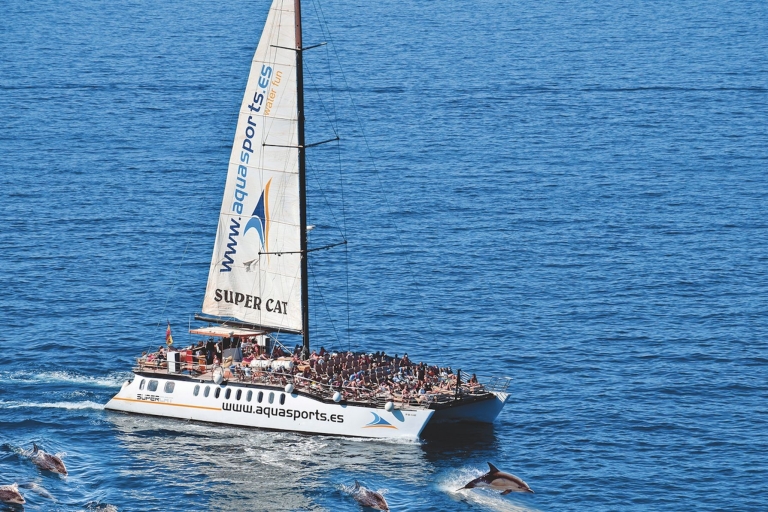 Puerto Rico : 4 h Excursión Premium en catamarán con delfines