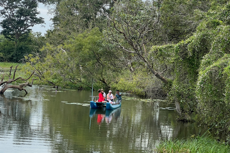 Trincomalee: Ritigala Forest monastery & lake boat day tour Trincomalee: Ritigala hidden Forest &relaxing boat tour