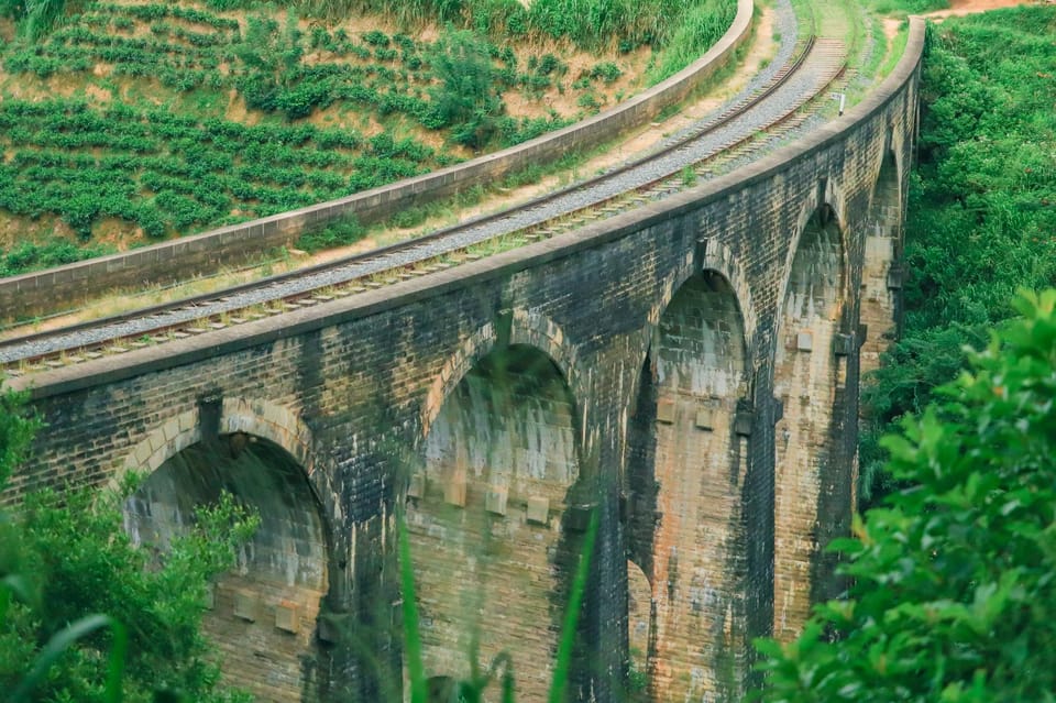 Suitetrails - Visit nine arch bridge,ravana & diyaluma falls,safari