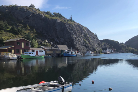3 hour City Tour of St. John's, small group up to ten quests