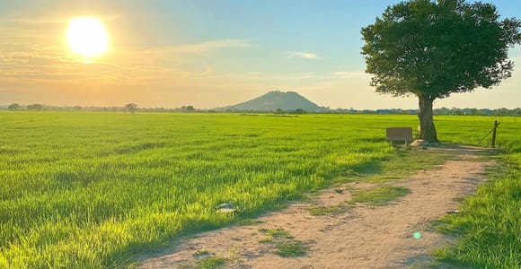 Siem Reap: Countryside Sunset Private Tour by Tuk-Tuk