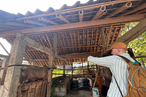 Yogyakarta: Bike Tour, Pottery, Ricefield, Museum With Lunch Bike, Pottery Class, Rice fields, Museum (No Lunch)