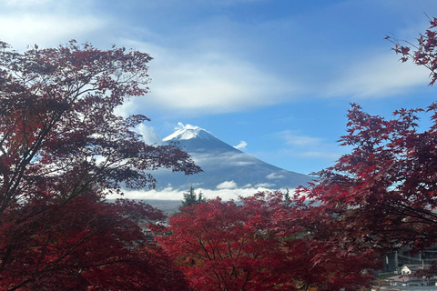 Tokyo: Mount Fuji Affordable Customizable Private 1-Day Tour Mount Fuji one day Private tour in Luxury Land Cruiser