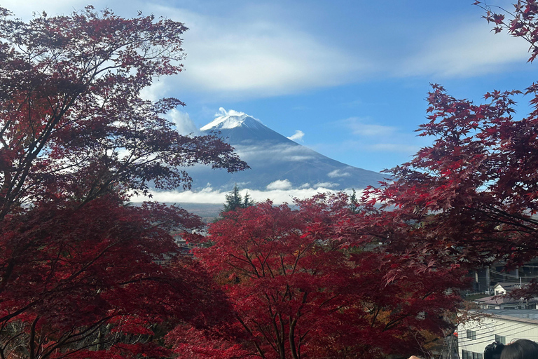 Tokyo: Mount Fuji Affordable Customizable Private 1-Day Tour Mount Fuji one day Private tour in Luxury Land Cruiser