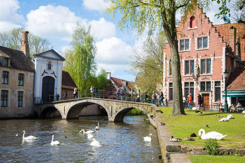 Bruges en 1 jour : Visite guidée à pied avec guide numérique9,95 € - billet solo