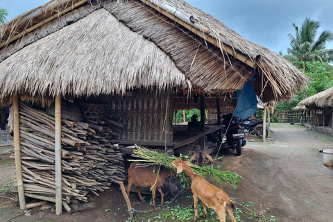 Lombok: Privétour op maat met chauffeur-gidsNoord-Lombok Tour