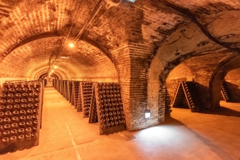 From Paris: Day Trip to Champagne with 8 Tastings & Lunch Private Tour