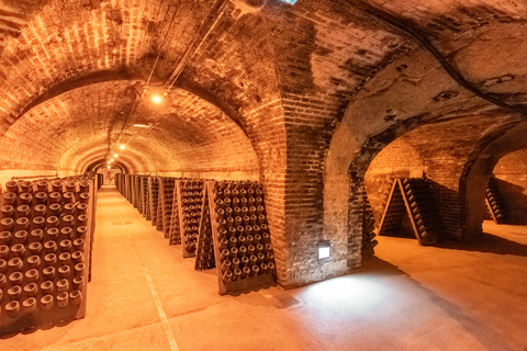 From Paris: Day Trip to Champagne with 8 Tastings &amp; LunchPrivate Tour