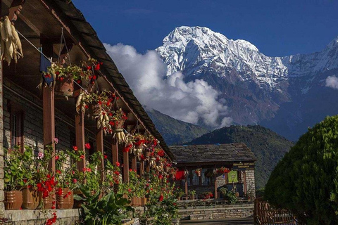 Da Pokhara: trekking economico del Campo Base dell&#039;Annapurna di 7 giorni