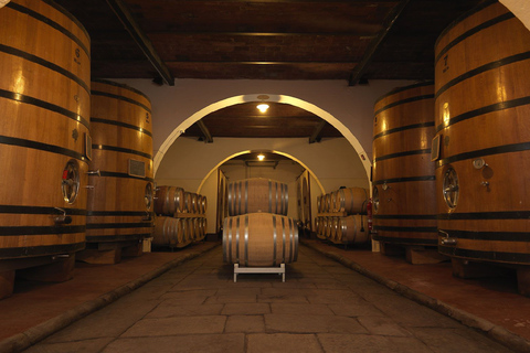 From Florence: Chianti Rufina Private Tour And Food Tasting Chianti Rufina: Private Tour & Local Products Tastings