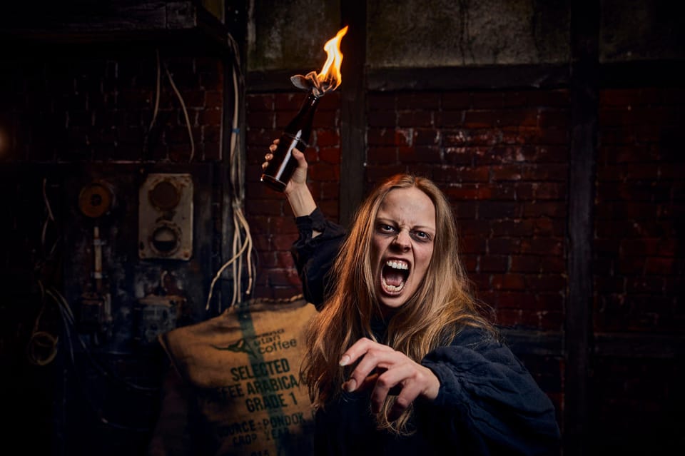 Hamburg, Hamburg Dungeon Admission Ticket - Housity