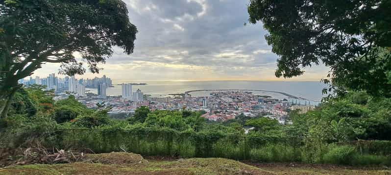 Galería de fotos para redes