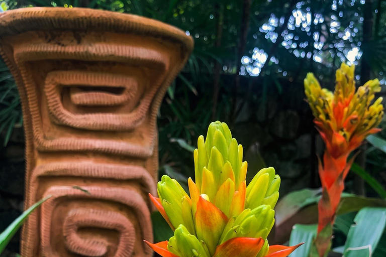 Private Nong Nooch Garden Tour: Lunch, shows & Dinosaurs