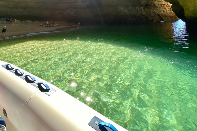 Combo: Benagil & Dolphins Boat Tour w/ Marine Biologists