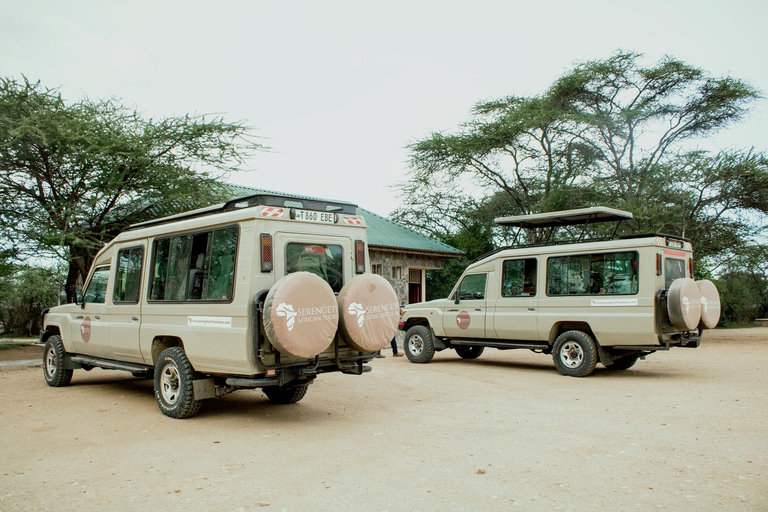 Arusha: Safari di 5 giorni nel Serengeti durante la stagione dei parti a NdutuArusha: Safari di 5 giorni nella stagione dei parti a Ndutu nel Serengeti