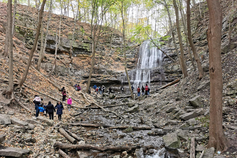 From Toronto: Hamilton Waterfalls Day Trip