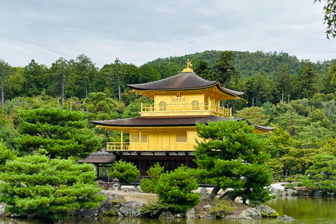 Kyoto/Osaka : Visite guidée privée et personnalisée de Kyoto et Nara