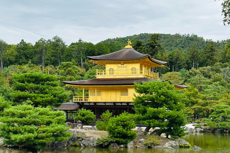 Kyoto, Nara och Osaka: Privat skräddarsydd rundtur