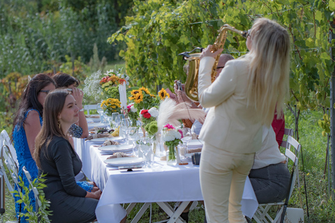 Abendessen im Weinberg an der Côte d'Azur