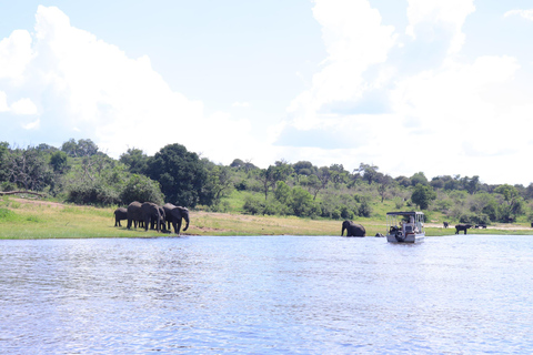 Kasane: Chobe National Park Game Drive and Boat Cruise