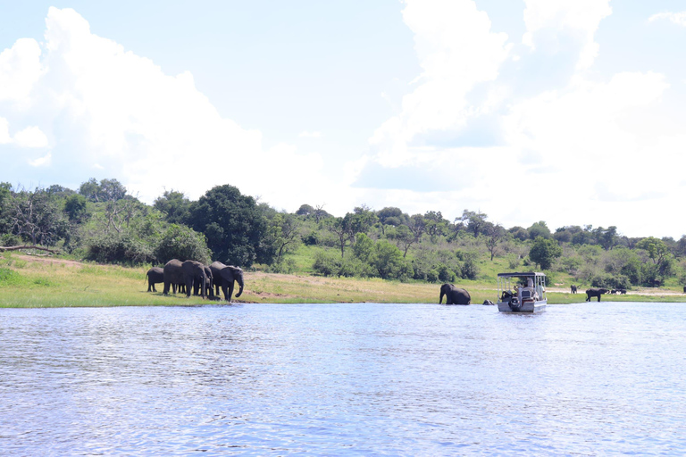 Kasane: Chobe National Park Game Drive and Boat Cruise