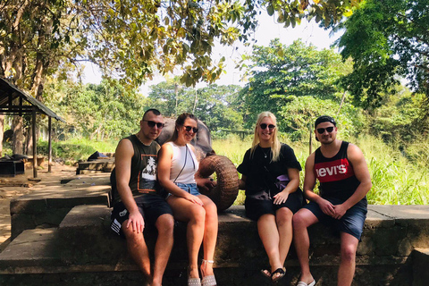 8-Day Sri Lanka Cultural, Hill Country &amp; Beach Tour