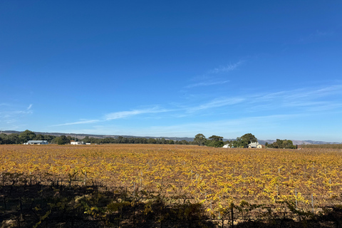 Tour di un giorno intero dei punti salienti della città di Adelaide