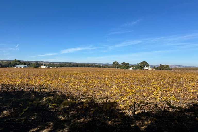 Adelaide Stad Hoogtepunten via Hahndorf Halve Dagen Tour