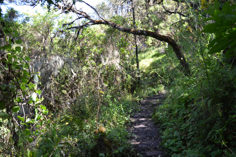 Ethiopia: 21 - Day North and South Tour with guide