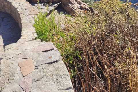 From Arequipa: Colca Canyon Day Hike