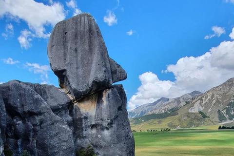 Lyttelton Port: Day Tour 3 options for Cruise Passengers Kaikoura Whale Watching Return Day Tour