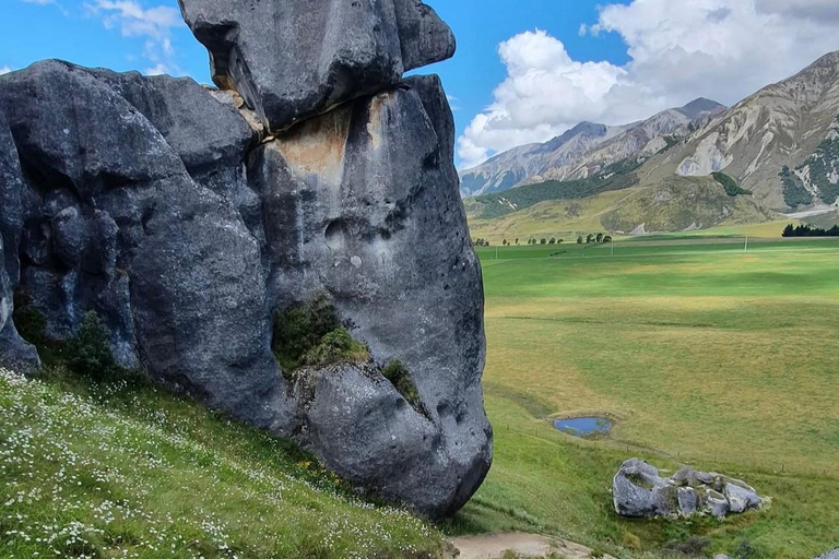 Lyttelton Port: Day Tour 3 options for Cruise Passengers Kaikoura Whale Watching Return Day Tour