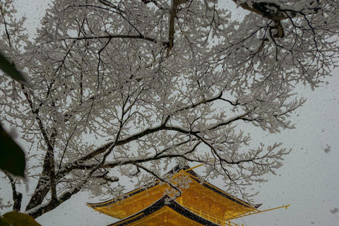 Kyoto: Private Customizable Tour with Driver and Guide