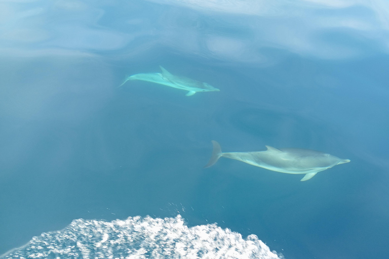 Syracuse: Snorkeling Excursions by Sailboat to Plemmirio Syracuse: Snorkeling Excursions by Sailboat at Plemmirio