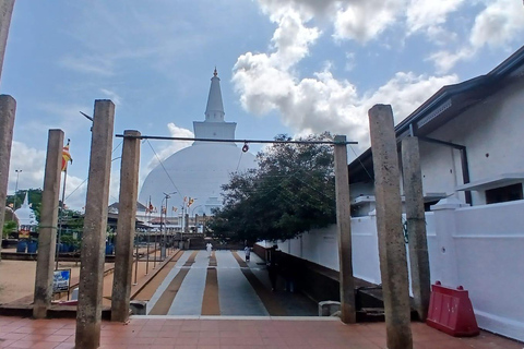 From Colombo/Negombo to Anuradhapura Day Tour with Mihintale