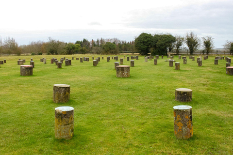 Londen: Windsor Castle, Stonehenge en Bath met lokale bezienswaardigheden