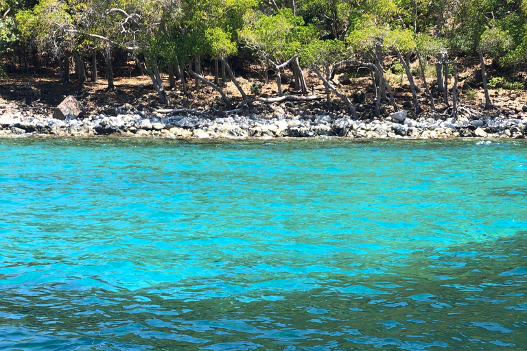 Guadeloupe:half Day on catamaran les Saintes, terre de haut