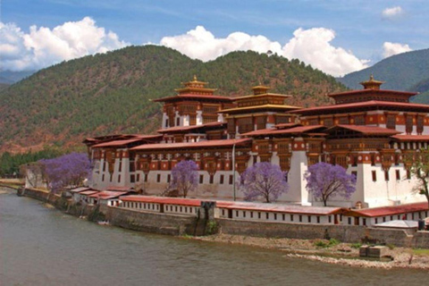 Bhutan's Splendors : Tour of Thimphu, Punakha and Paro