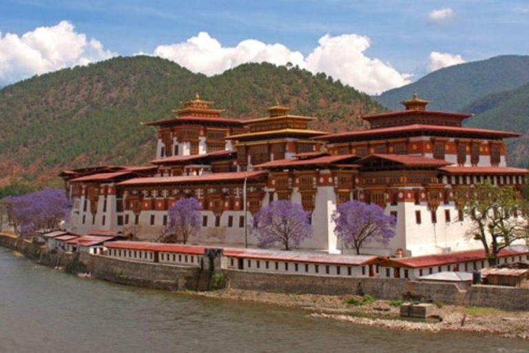 Bhutan's Splendors : Tour of Thimphu, Punakha and Paro